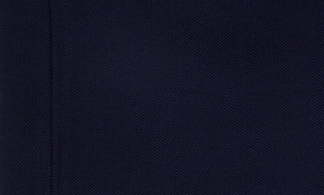 Polo Lacoste taglio classico | Loweconomy